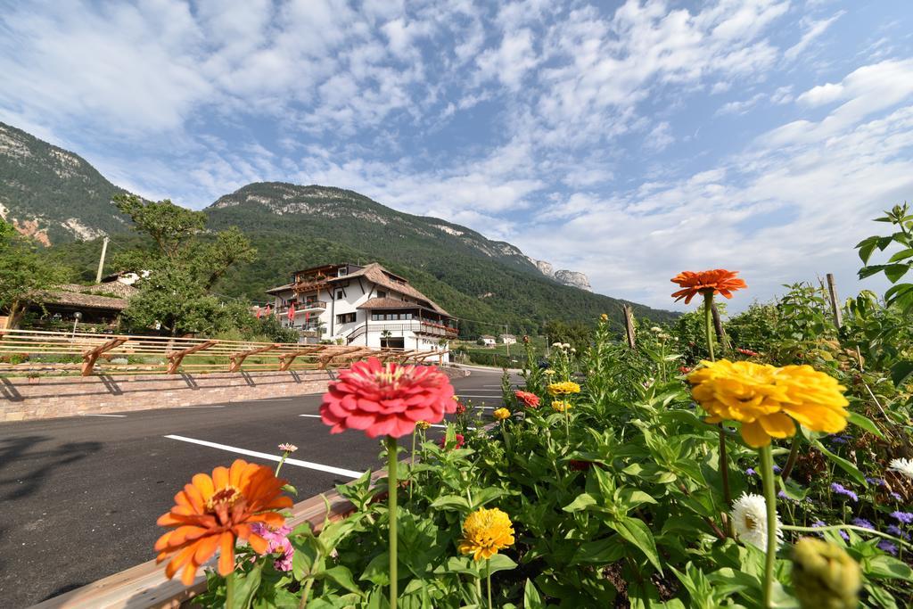 Steinegger Eppan Hotel Апиано сула Страда дел Вино Екстериор снимка